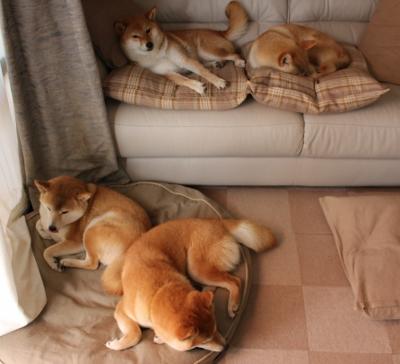 职业球员训练反馈机制未形成闭环