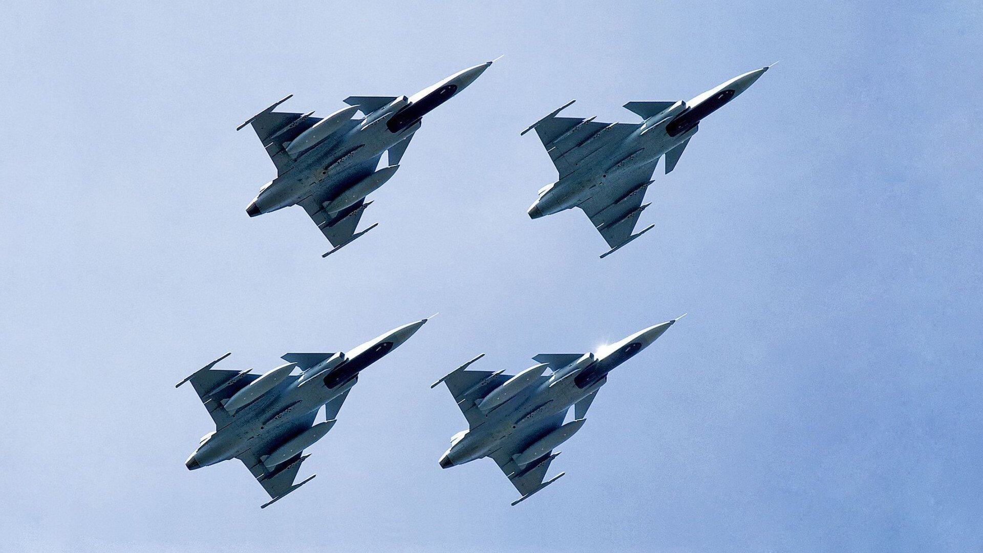 “美洲狮队新一代球员表现出色，未来值得期待”